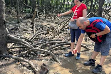 From Ho Chi Minh: Trek Can Gio Mangrove, Monkey Island