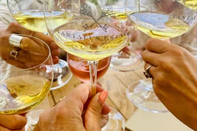 From Auckland: Waiheke Island Wineries' Tour
