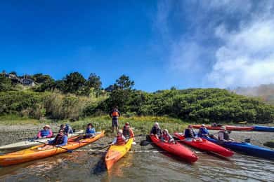 Russian River: Kajaktur