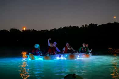 Tampa: Clear Glowing Kayak Nighttime Tour