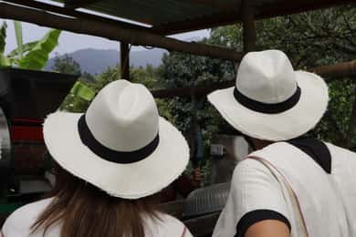 Coffee Farm Tour from Bogotá – Be a Farmer for a Day
