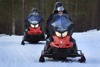 Saariselka: Moottorikelkkasafari Tundralla grillauksen kera