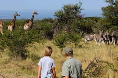 4 Day Kruger National Park Private Safari From Johannesburg