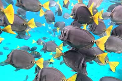 Puerto Baquerizo Moreno: 360 San Cristobal Island Day Tour