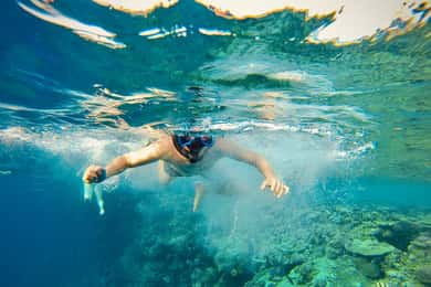 From Cairo: Snorkeling Trip on Yacht with Lunch
