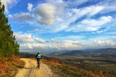 Montona: Tour in bicicletta elettrica in Istria