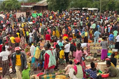 Addis Ababa: Mercato Market and Sightseeing Tour
