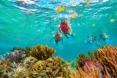 Puerto Morelos : Excursion de plongée avec masque et tuba sur le récif avec déjeuner sur la plage