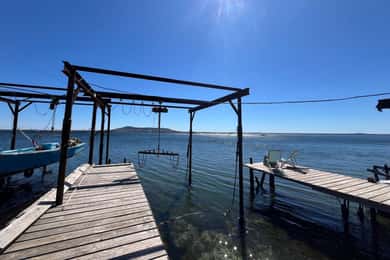 Montpellier: Excursion around the Thau lagoon - visits and tasting