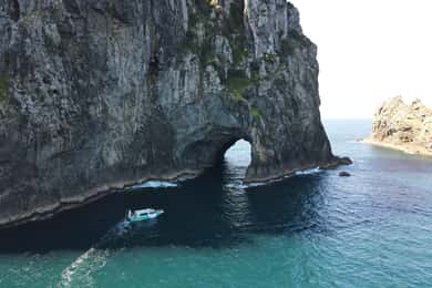 De Paihia: Cruzeiro guiado por Hole in the Rock e visita à ilha: 3 horas