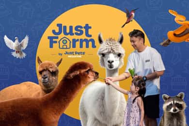 Selangor : Just Farm au billet Just Pets Megastore