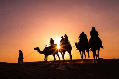 Doha: Night Desert Safari with Camel Ride and Sandboarding