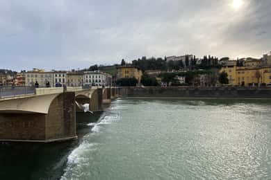 Full Day Private Wine Tasting in Chianti from Florence
