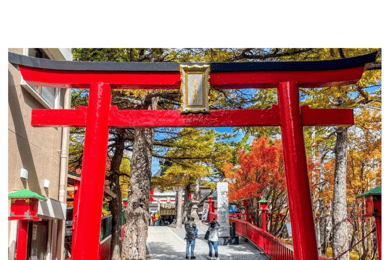 Tokio: Mount Fuji & Hakone Privé Autodagtour Laagste Prijs