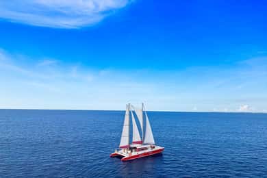 Morning Sail to Boca Catalina with BBQ Lunch