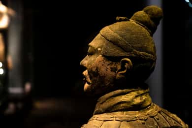 Visite privée de 5 heures de l'armée de terre cuite avec options