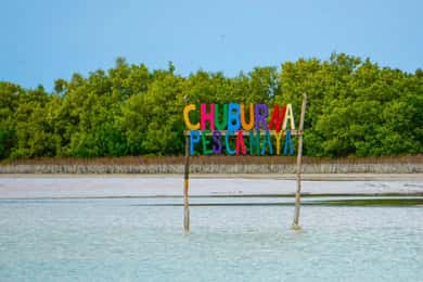Merida: Swing Island Beach Tour with Kayaking