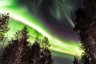 Inari: Revontulimetsästys Moottorikelkkasafari
