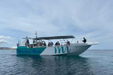 From Fornells: North Coast Beaches Cruise with Swim Stops