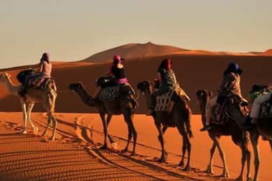 Agadir: paseo en camello, quad y sandboard en las dunas de Timlalin