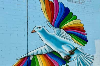 A segunda visita guiada de arte urbana em Ehrenfeld