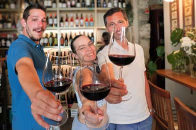 Porto: Tour do Vinho e Show de Fado de uma hora | Tudo Incluído