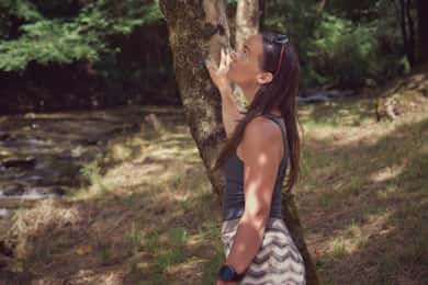 Lake Como: Forest Therapy and Restorative Nature Walk