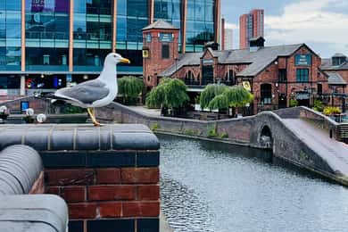 Tour storico di Birmingham