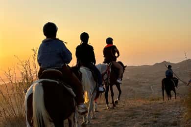 Experiencia romántica con caballos en la Reserva Natural WWF