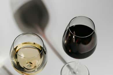 ESPERIENZA DI DEGUSTAZIONE DI VINI CON TRASFERIMENTO INCLUSO!