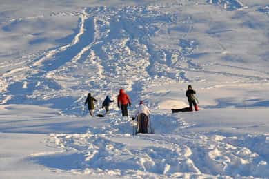 Anchorage: Starlight Snowshoe Adventure with Transportation