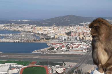 Gibraltar: Tour guiado desde la Costa del Sol