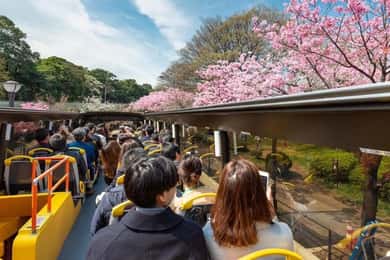 Tokyo: Open Top Sightseeing Bus with Audio Guide