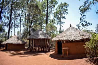 Nairobi City Tours