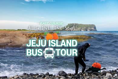 Jeju Island: Full-Day East Jeju Bus Tour with Entry Fees