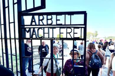Berlin: Sachsenhausen Memorial camp with licensed Tour Guide