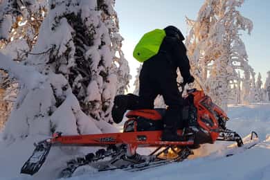 Arvidsjaur: 4 timmars individuell snöskotertur i svenska Lappland
