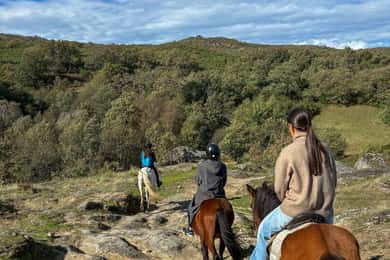 Mountain Horseback Ride, Lunch, Wine Tasting