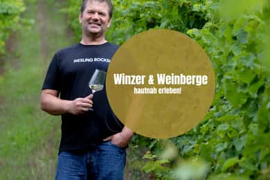 Weinwanderung durch die Weinberg incl. Weinprobe mit tollem Ausblick!