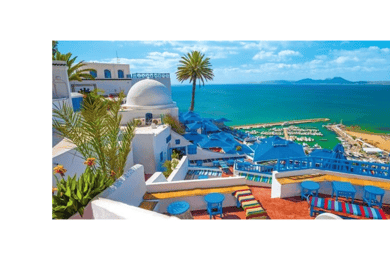 Visite autoguidée : Tunis, Carthage et Sidi Bousaid