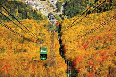 Hokkaido│Kurodake Ropeway, Asahiyama Zoo Autumn Leaves Tour