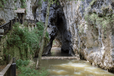 Chiapas : Grutas de Rancho Nuevo et Arcotete visite d'une demi-journée