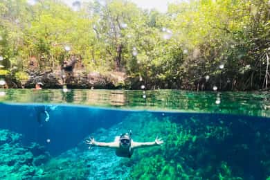 VIP 3 Cenotes privétour