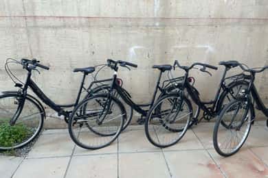 CITYBIKE/ easy Classic FOR 24 hours with Free delivery!