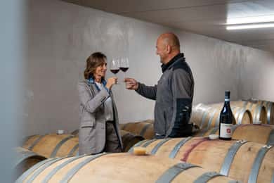 Monforte d'Alba: Degustazione di Vini, Visita in cantina e Tour nei vigneti