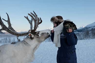 Au départ de Tromsø : Alimentation des rennes et expérience sami avec déjeuner