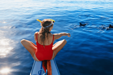 Upptäck Mauritius: Delfinskådning, snorkling, BBQ-lunch