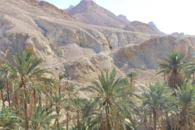 Excursion Une journée à Tozeur : oasis de montagne / Lieu de la Guerre des étoiles