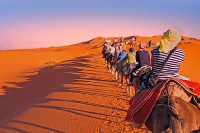 Fez: 2 Day-1 Night Luxury Sahara Desert Trip to Fez/Marakech