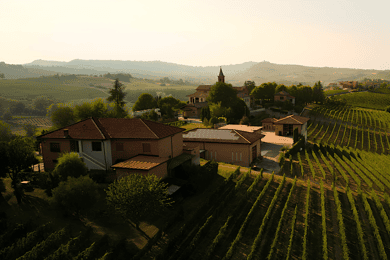 Rundvisning og vinsmagning i Langhe og Monferrato